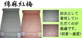 紺仁 綿麻紅梅